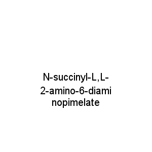 N-succinyl-L,L-2-amino-6-diaminopimelate