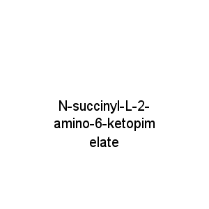 N-succinyl-L-2-amino-6-ketopimelate