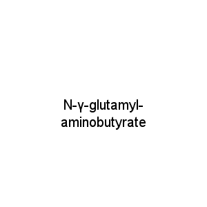 N-γ-glutamyl-aminobutyrate