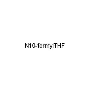 N10-formylTHF