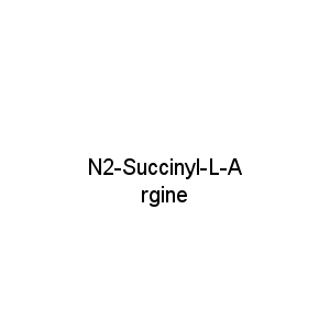 N2-Succinyl-L-Argine
