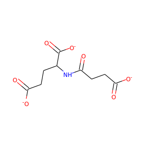N2-Succinylglutamate
