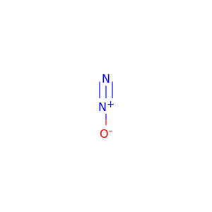N2O