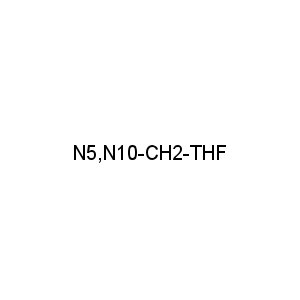 N5,N10-CH2-THF