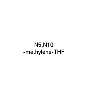 N5,N10-methylene-THF