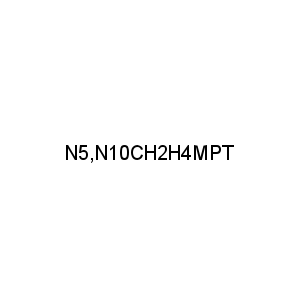 N5,N10CH2H4MPT