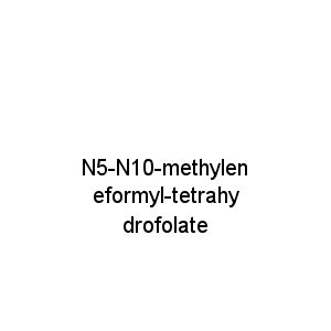 N5-N10-methyleneformyl-tetrahydrofolate