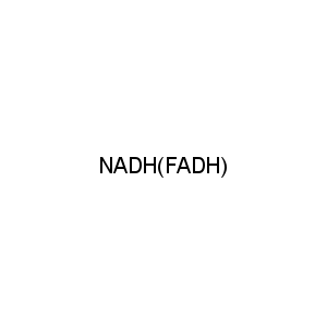 NADH(FADH)