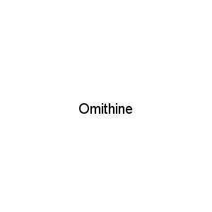 Omithine