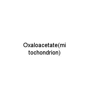 Oxaloacetate(mitochondrion)
