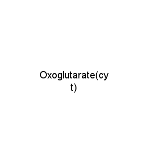 Oxoglutarate(cyt)