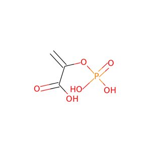 P-enol-pyruvate