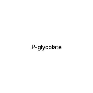 P-glycolate