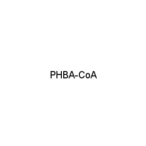 PHBA-CoA