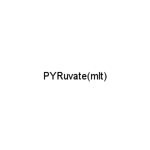 PYRuvate(mlt)