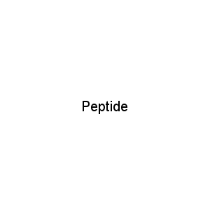 Peptide
