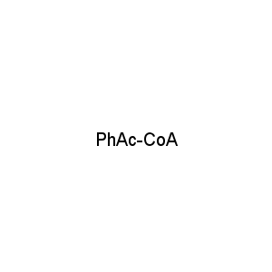 PhAc-CoA