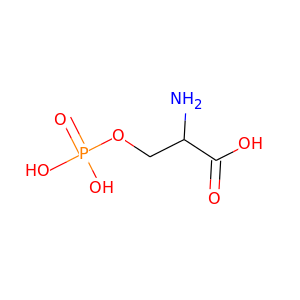 Phospho-L-serine