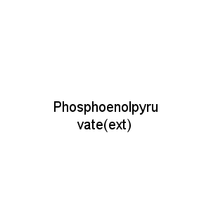 Phosphoenolpyruvate(ext)