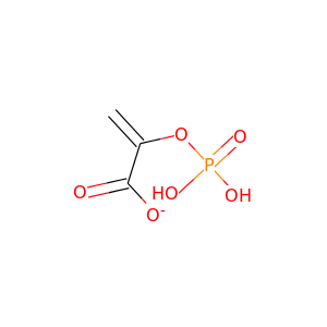 Phosphoenylpyruvate