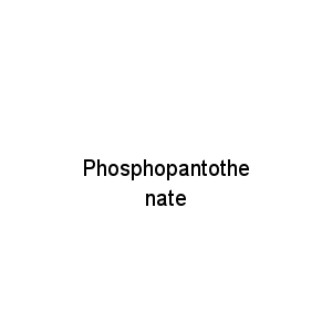 Phosphopantothenate