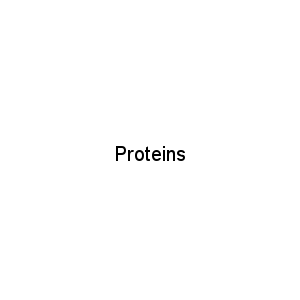 Proteins