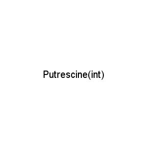 Putrescine(int)