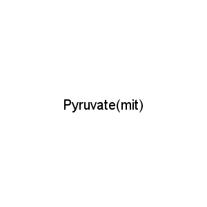 Pyruvate(mit)