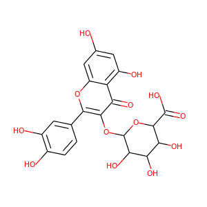 Quercetin-3-O-glucuronide