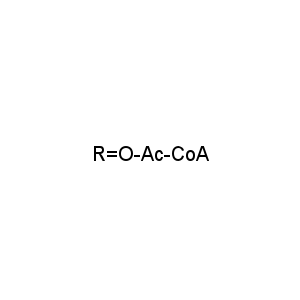R=O-Ac-CoA