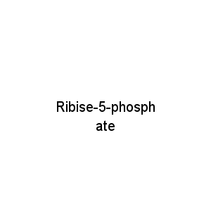 Ribise-5-phosphate
