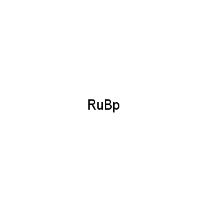 RuBp