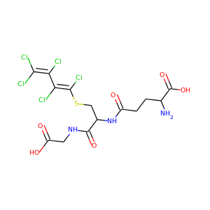 S-(1,2,3,4,4-pentachlorobutadienyl)glutathione