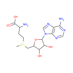 S-Adenosyl-Methionine