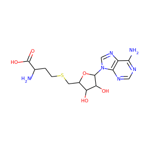 S-Adenosylhomocysteine