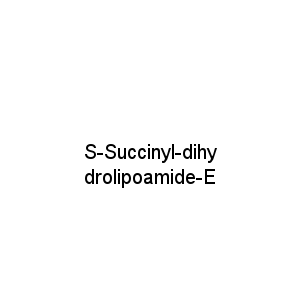 S-Succinyl-dihydrolipoamide-E