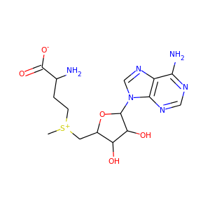 S-adenosyl-l-methionine