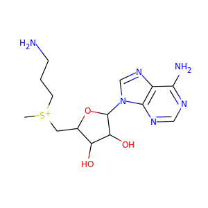 S-adenosylmethioninamine