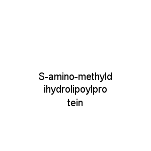 S-amino-methyldihydrolipoylprotein