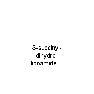 S-succinyl-dihydro-lipoamide-E