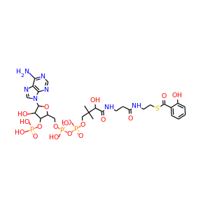 Salicoyl-CoA