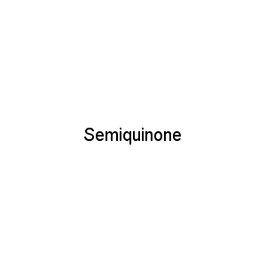 Semiquinone