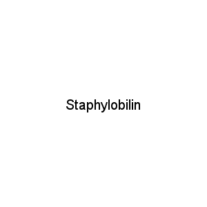 Staphylobilin