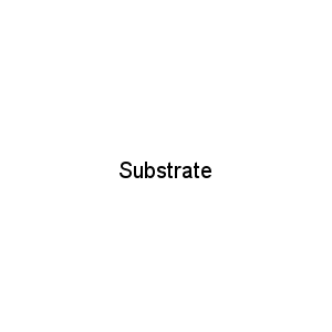 Substrate