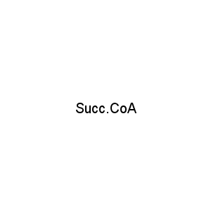 Succ.CoA