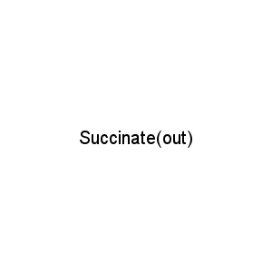 Succinate(out)