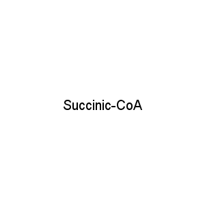 Succinic-CoA