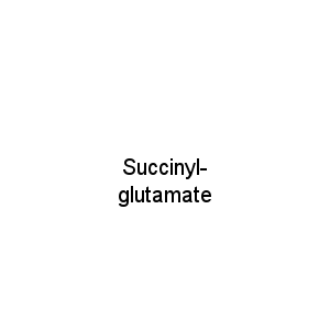 Succinyl-glutamate