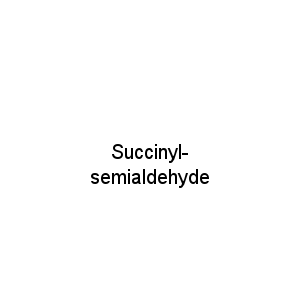 Succinyl-semialdehyde