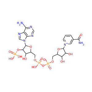 TPN